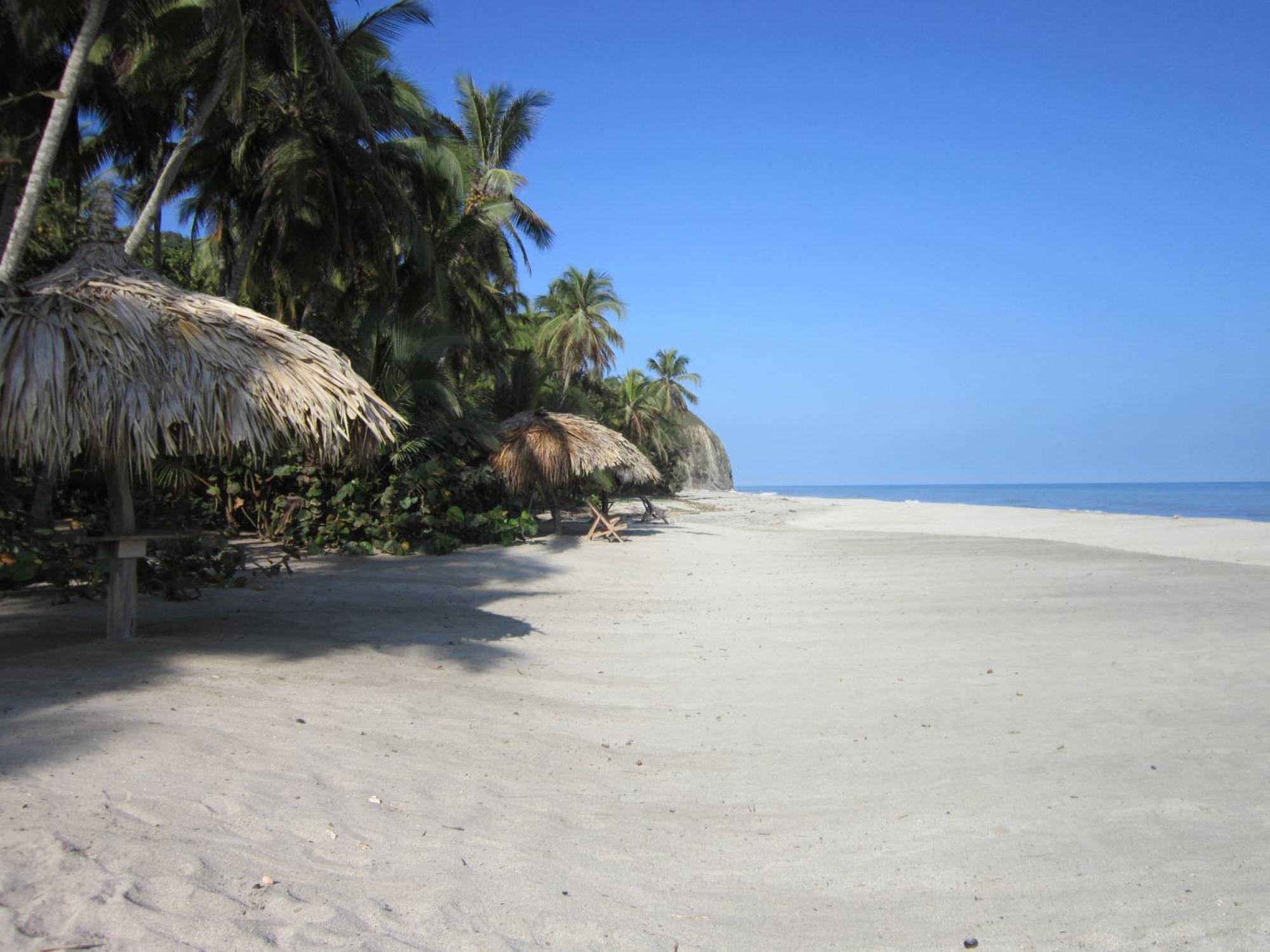 Sublime Ecohotel - Tayrona Palomino Exteriér fotografie
