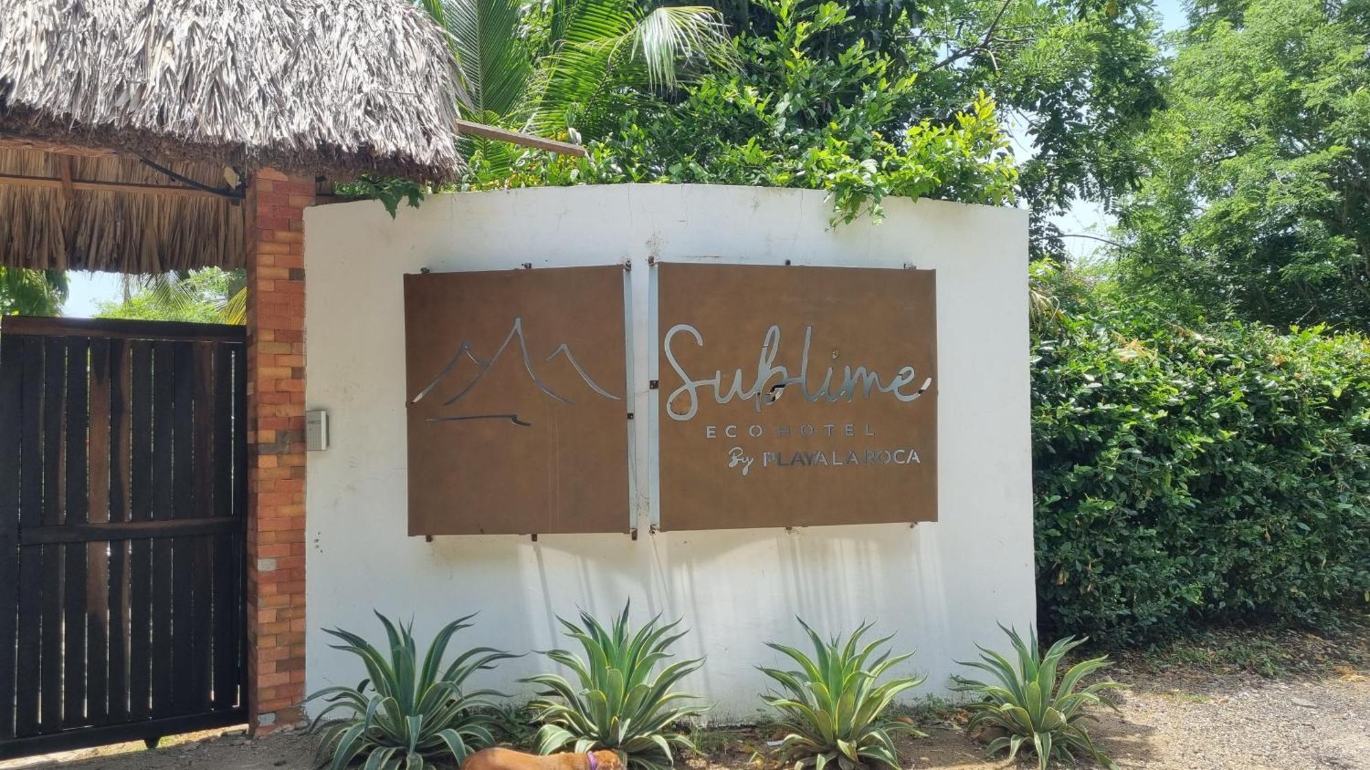 Sublime Ecohotel - Tayrona Palomino Exteriér fotografie